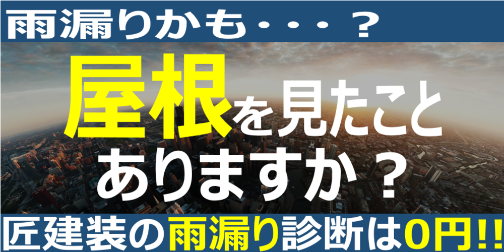 雨漏り診断